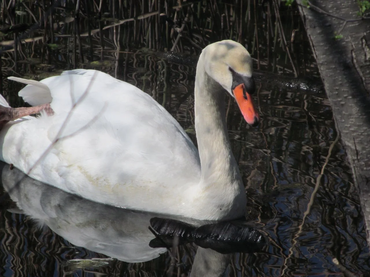 diverse_10042017 185.webp