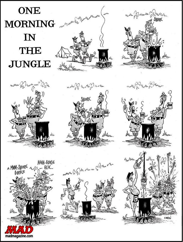 don martin dschungel_2.webp