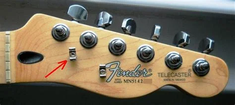 downloadfile (4).webp