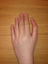 Dreigliedriger_Daumen.jpg