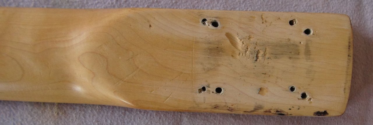 DSC00088.jpg