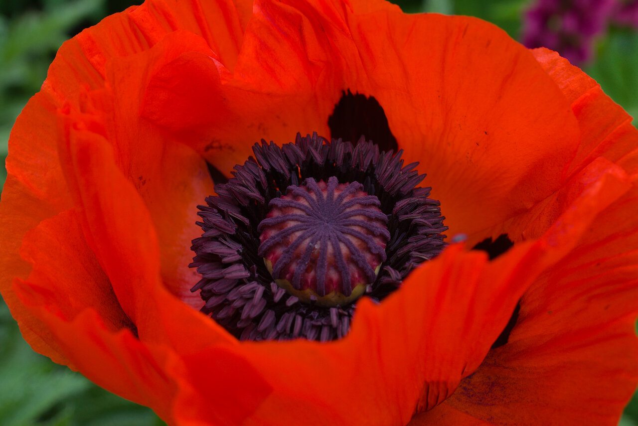 DSC00381.jpg
