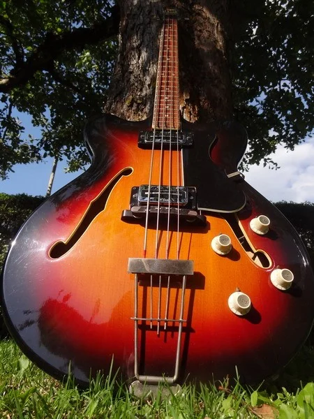 DSC01750_Bildgröße ändern.webp