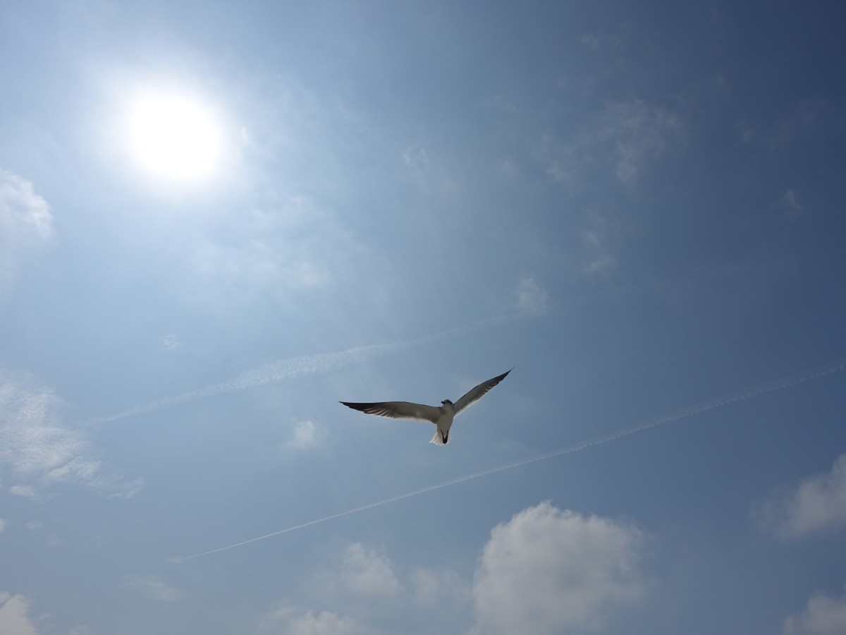 DSC01798.JPG