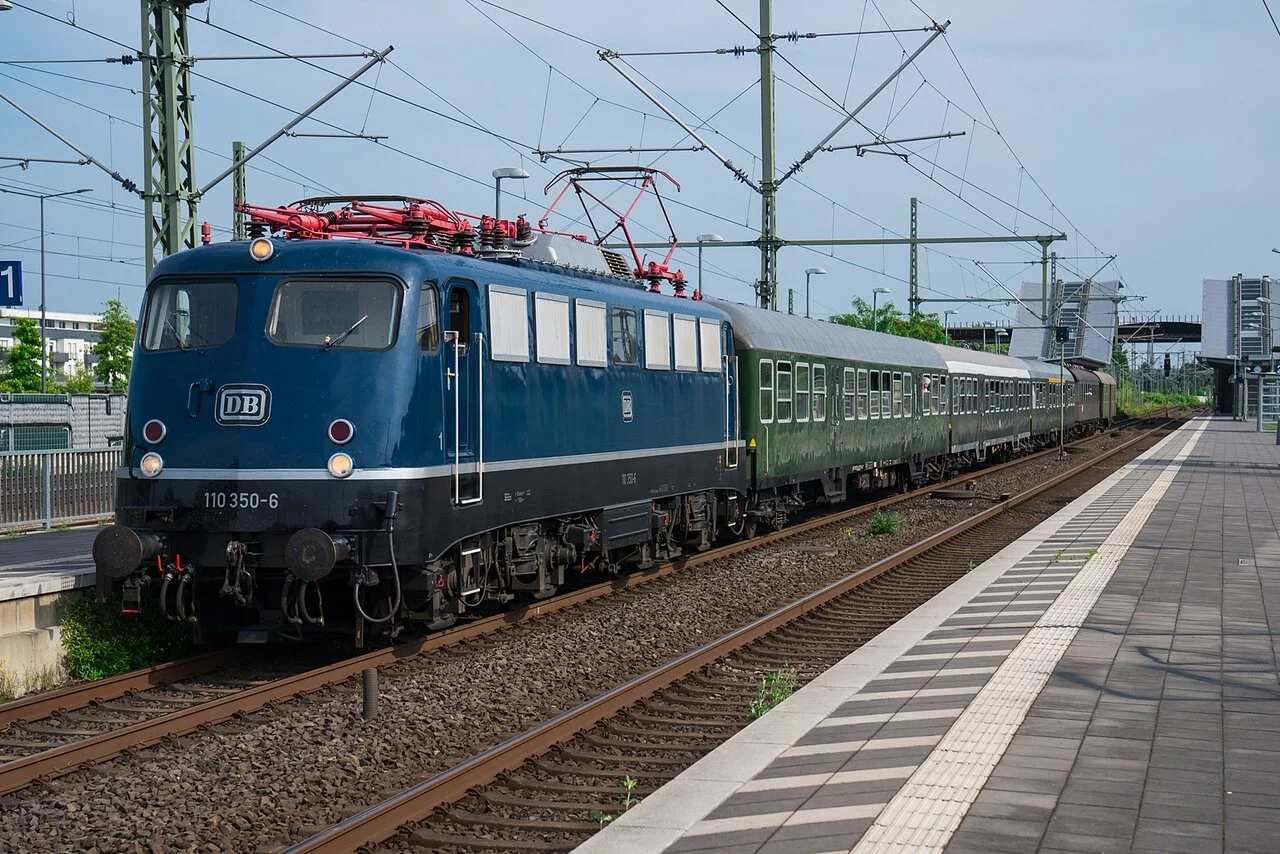 DSC01900 - OPLM.webp