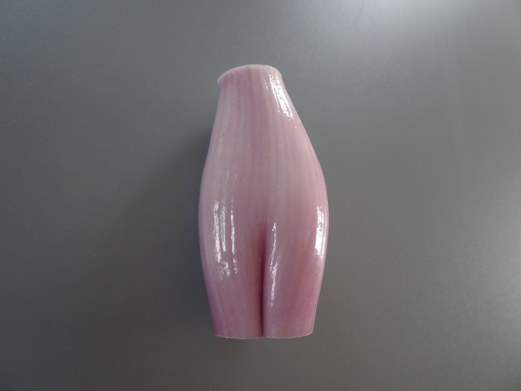 DSC03893_Bildgröße ändern.JPG
