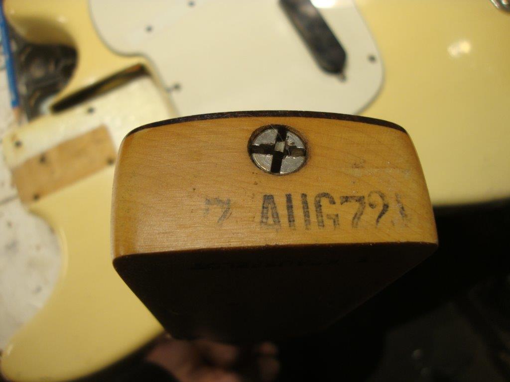 DSC04513.jpg