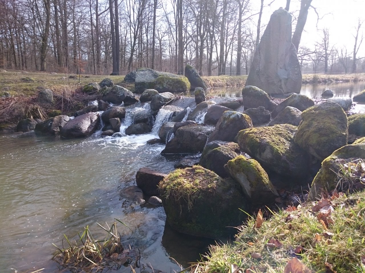 DSC_0014.JPG