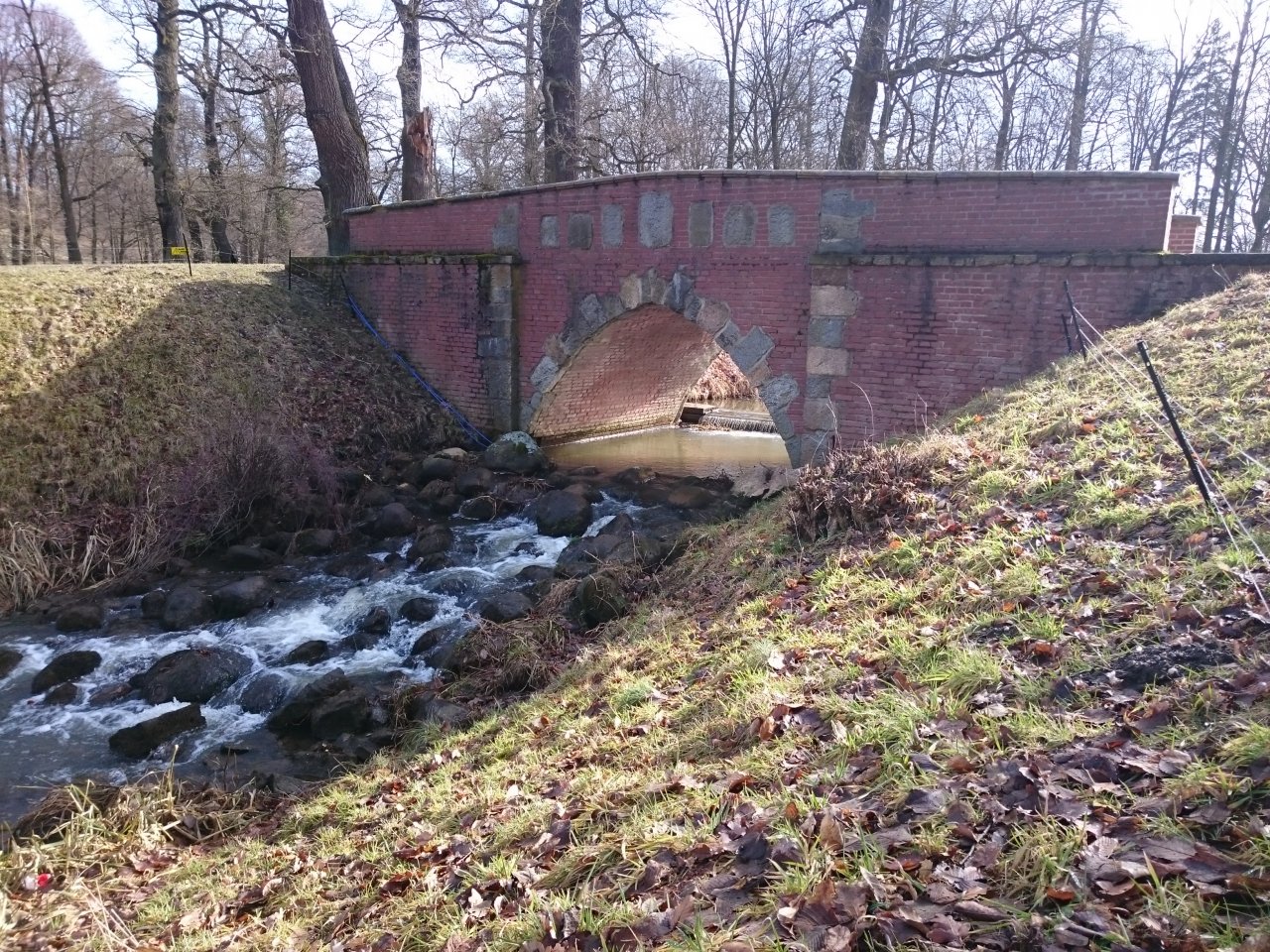 DSC_0015.JPG