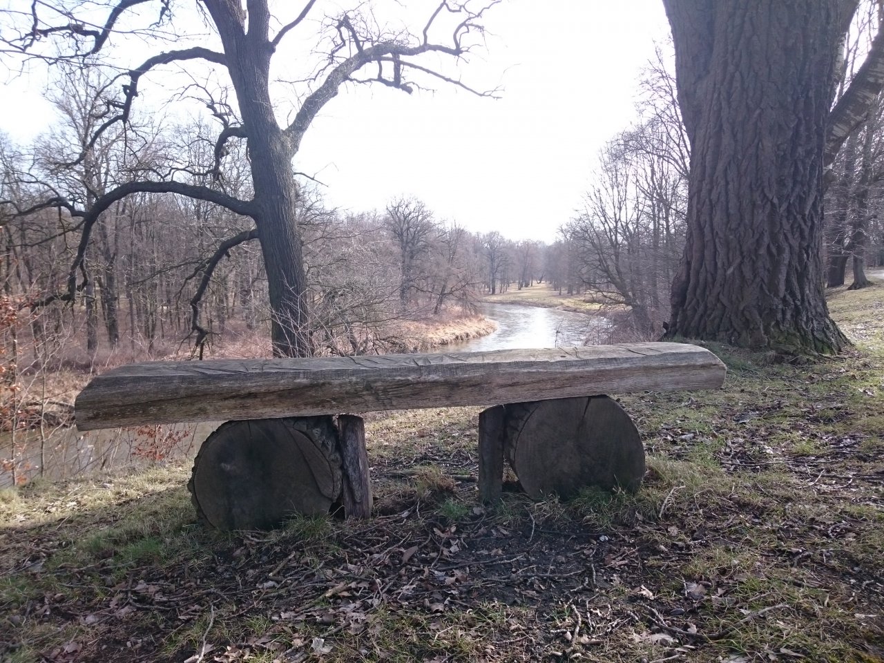 DSC_0018.JPG