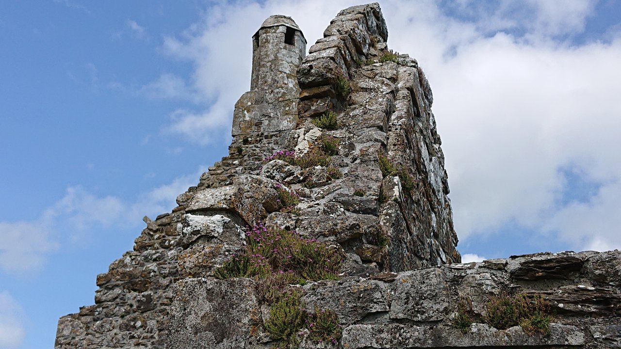 DSC_0049.JPG