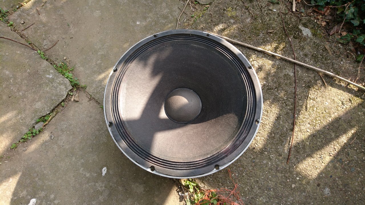 DSC_0445.JPG