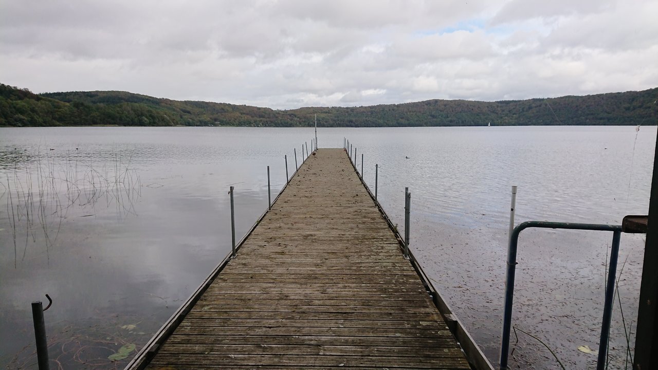 DSC_0659.JPG