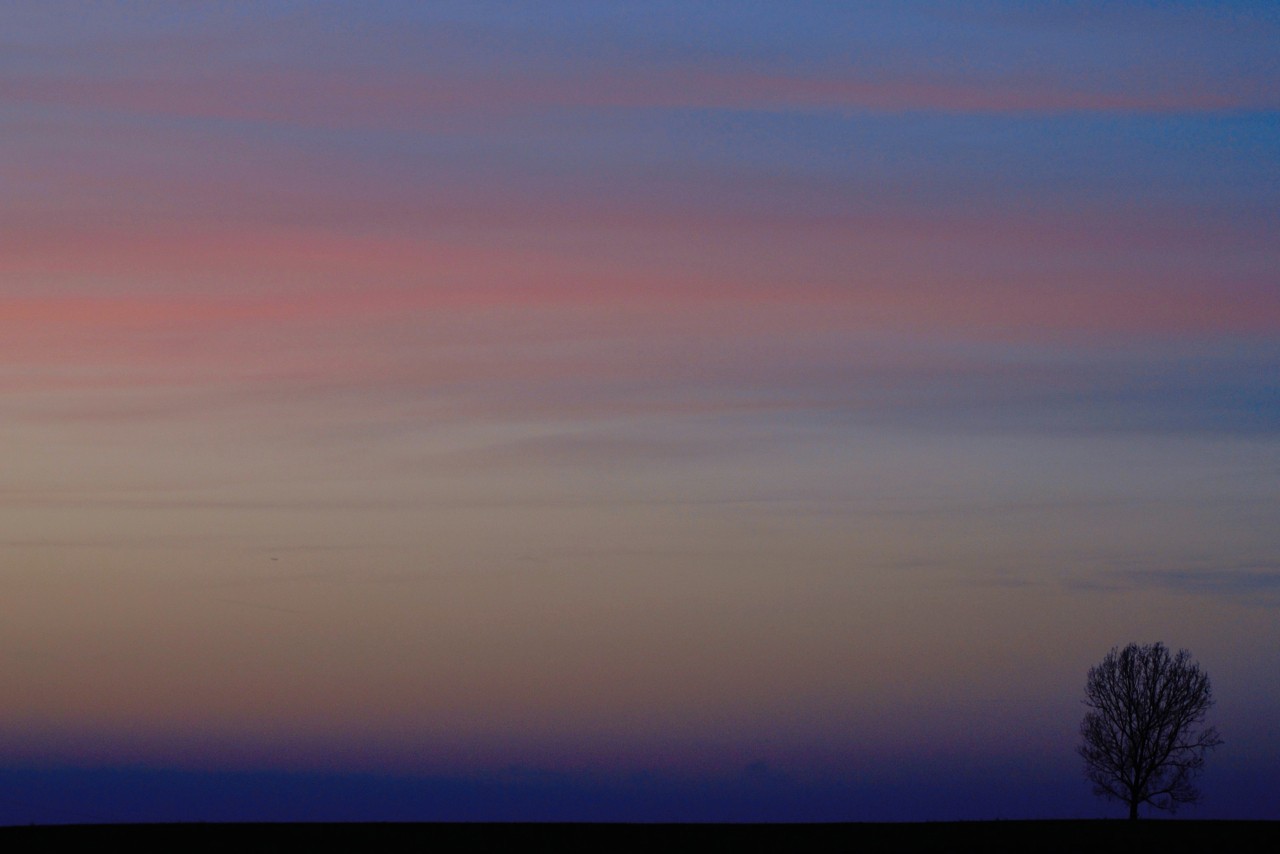 DSC_1196_1280px.jpg