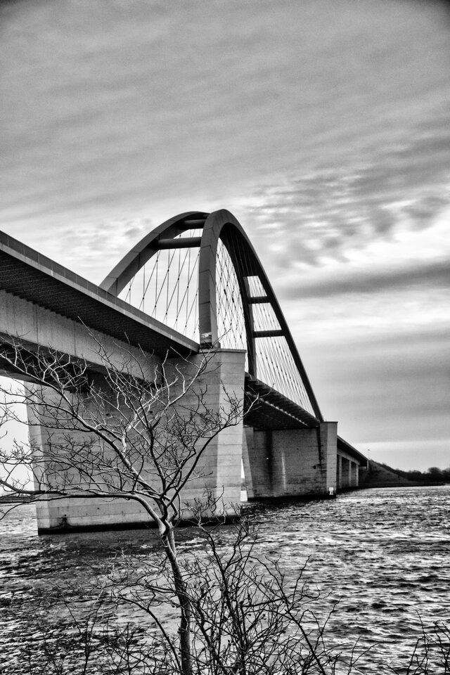 DSC_1651[1].jpg