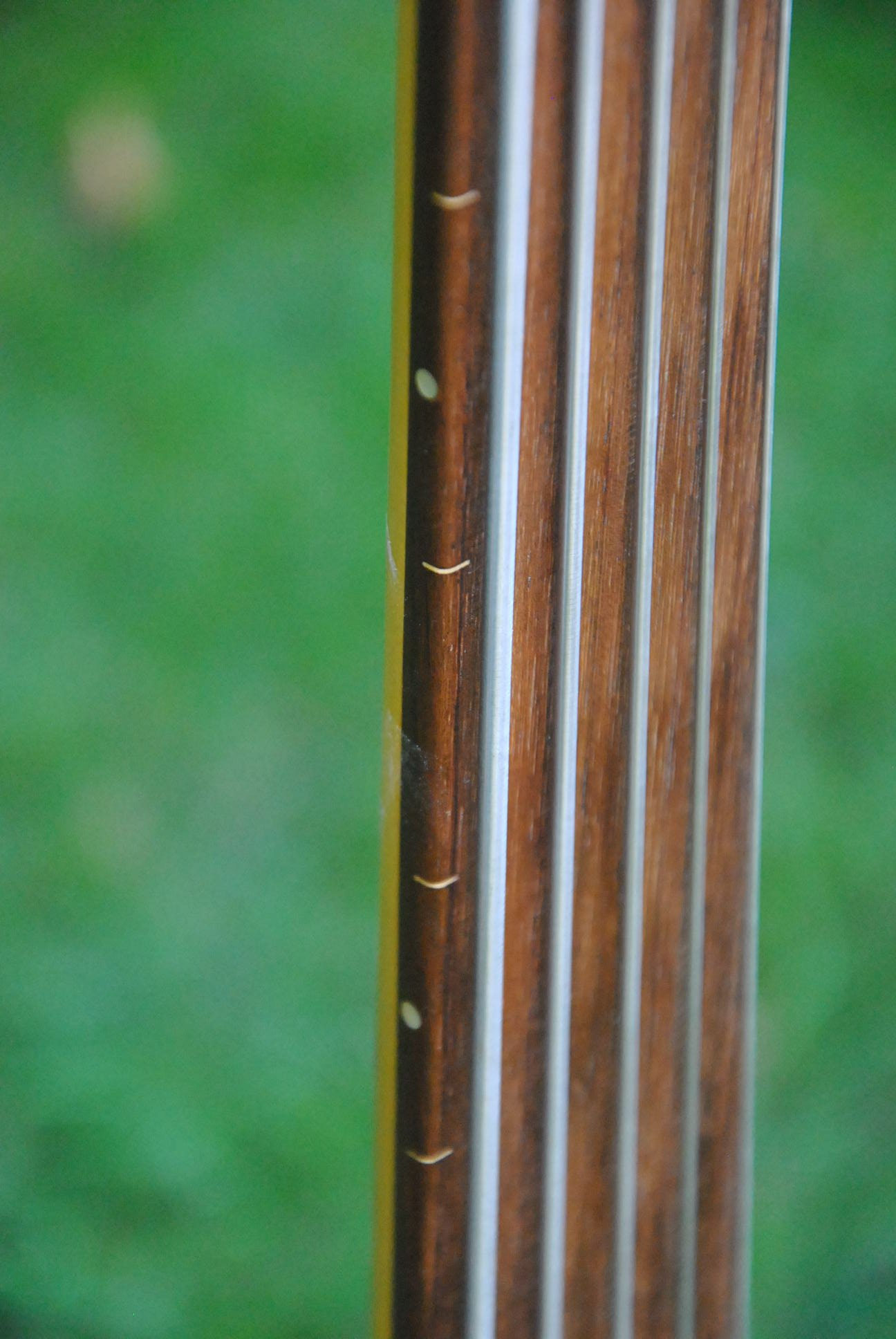 DSC_4788.JPG