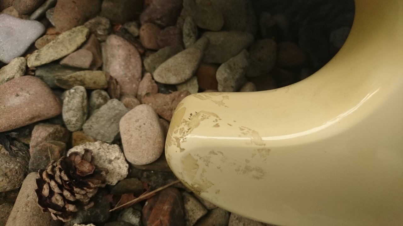 DSC_4878.JPG