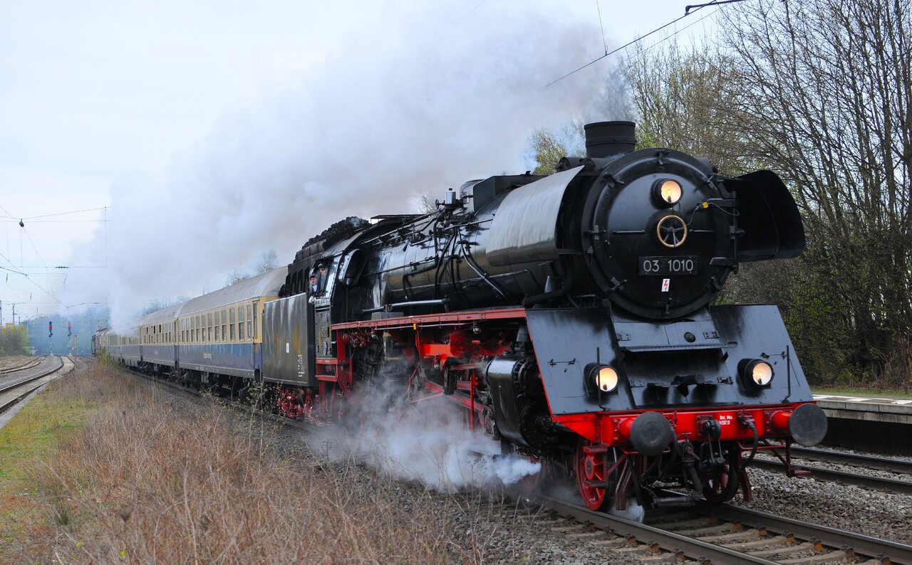 DSC_6386a.JPG