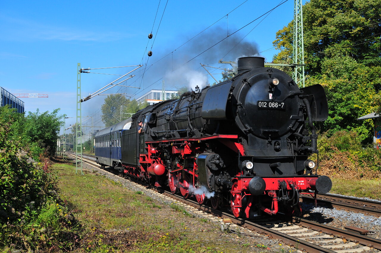 DSC_7598.JPG