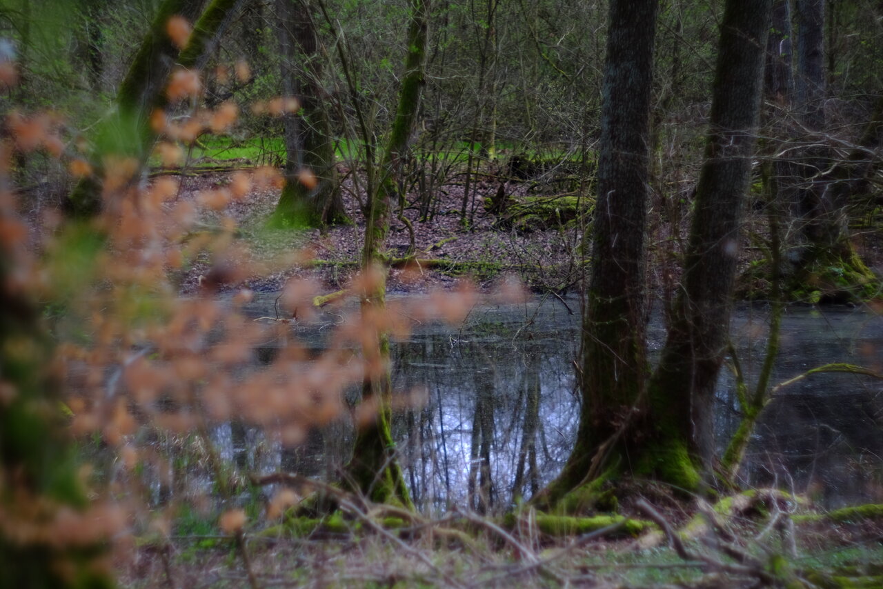 DSCF0401.JPG