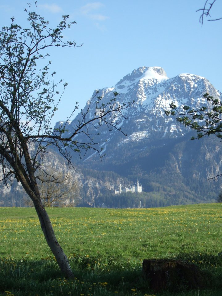 DSCF1550.JPG