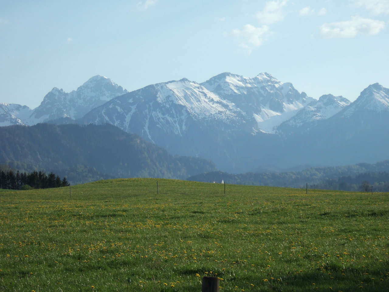 DSCF1551.JPG