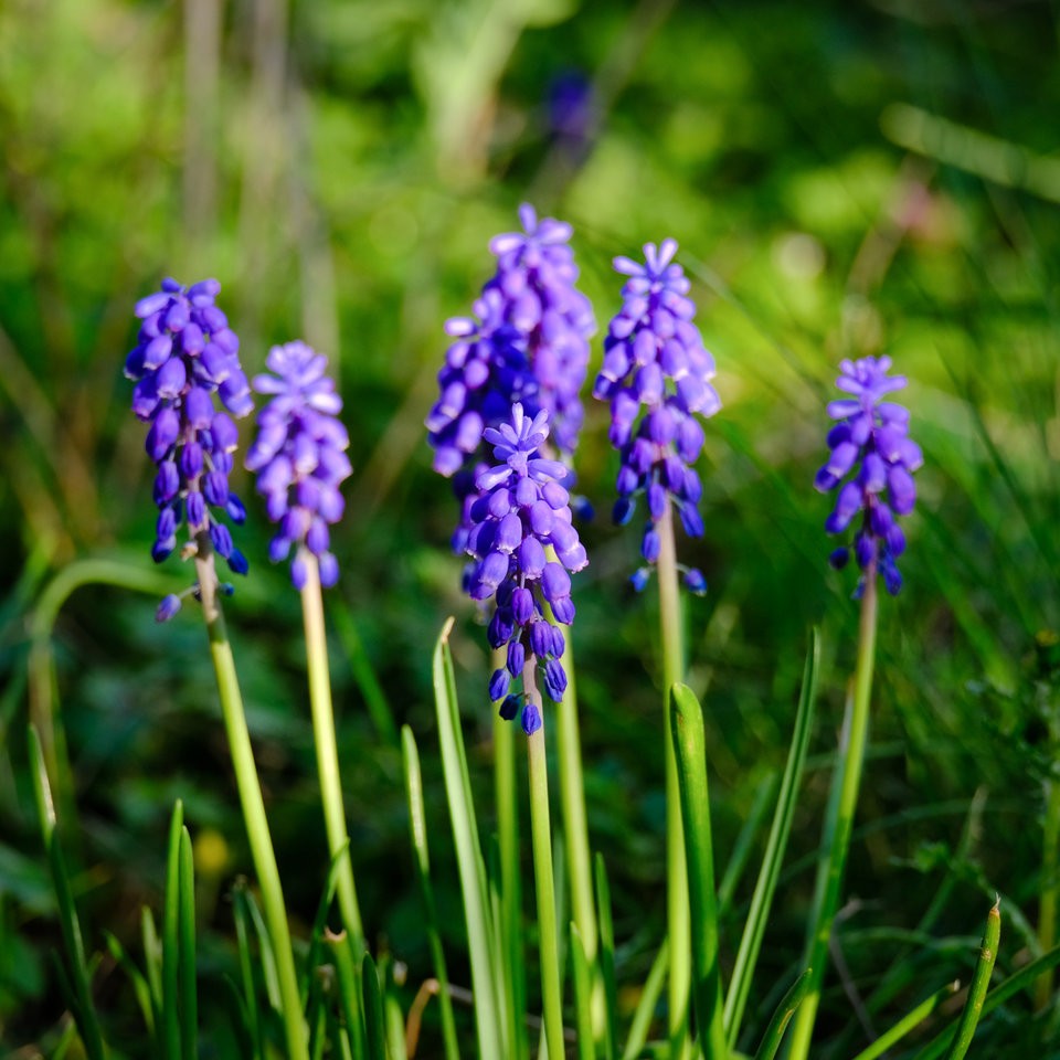 DSCF3628.jpg