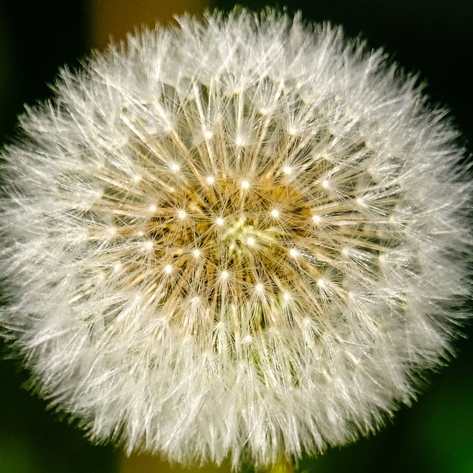 DSCF3630.jpg