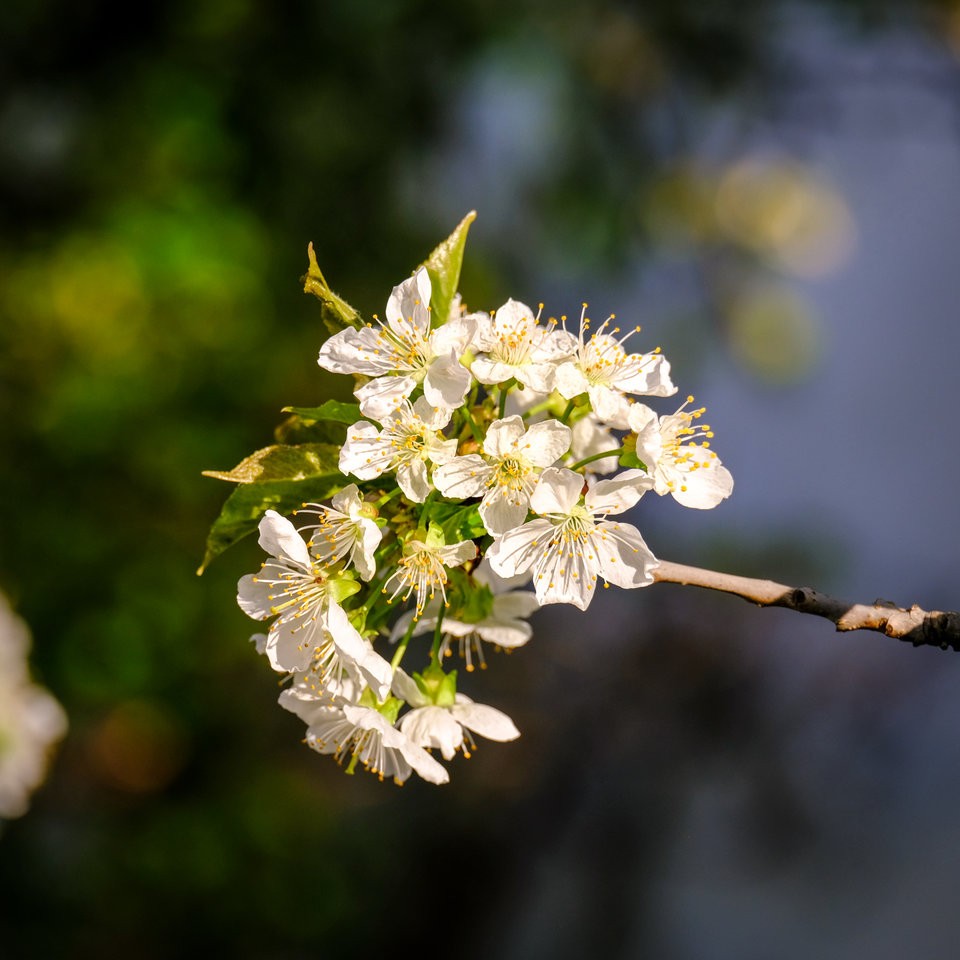 DSCF3634.jpg