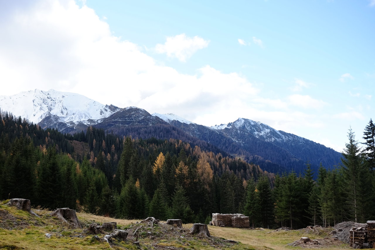 DSCF4744.JPG