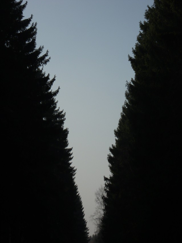 DSCI0029 2.jpg