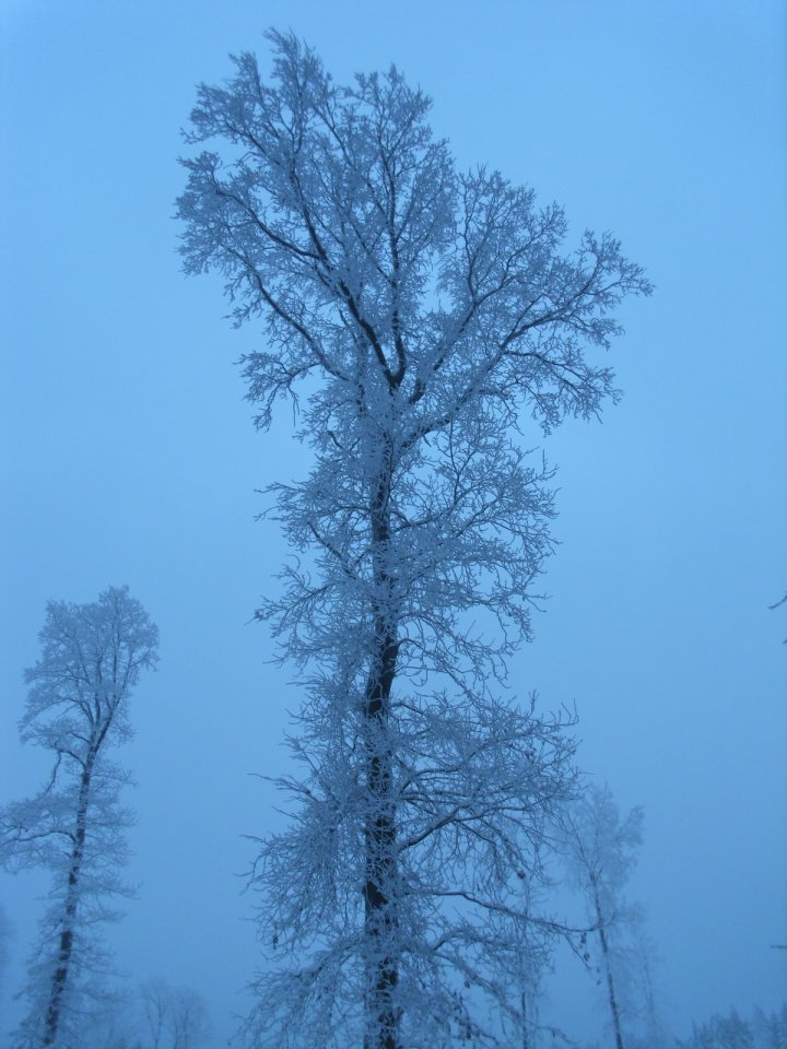 DSCI0052.JPG