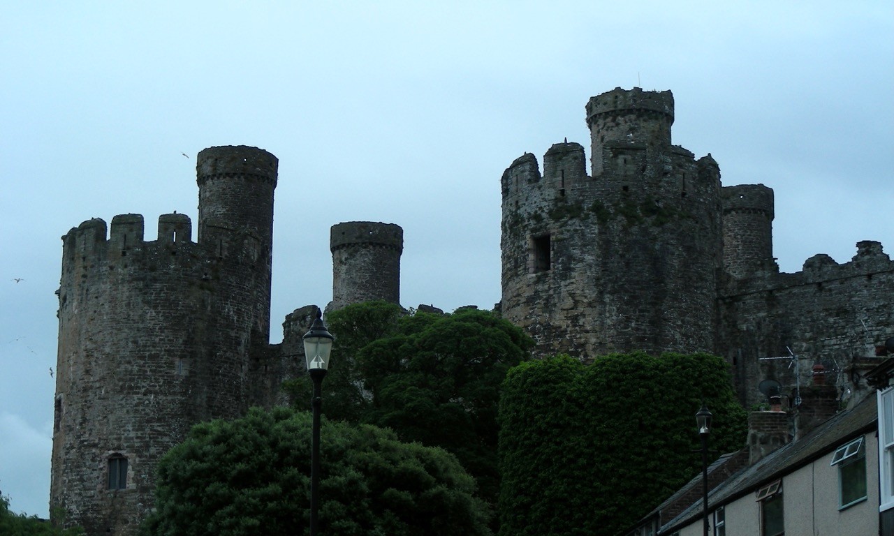 DSCN8622.jpg