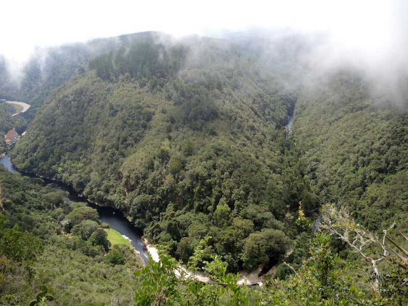 DSCN9553.JPG