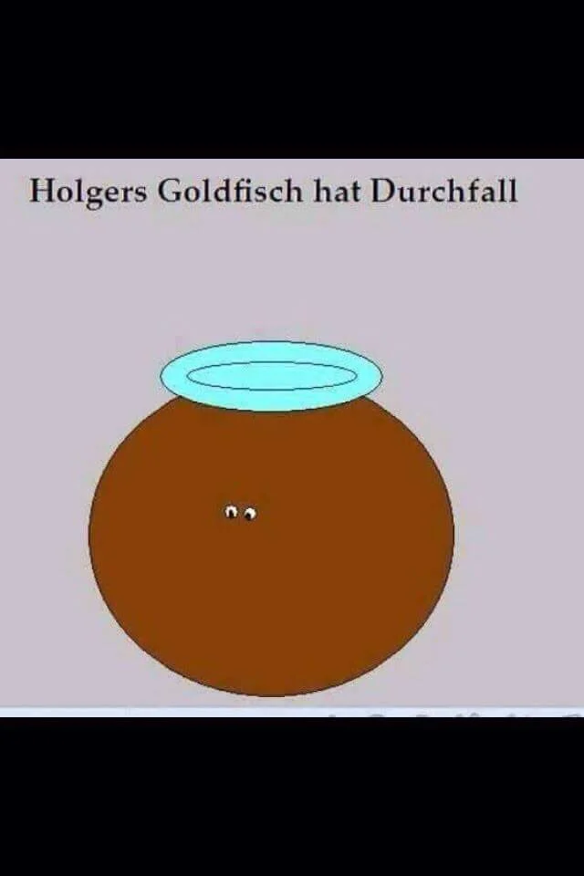 Durchfall.webp