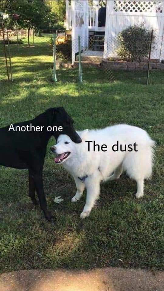 dust.jpg