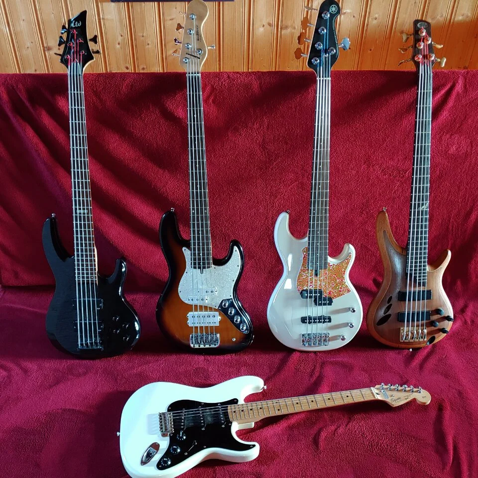 E-Bässe.webp