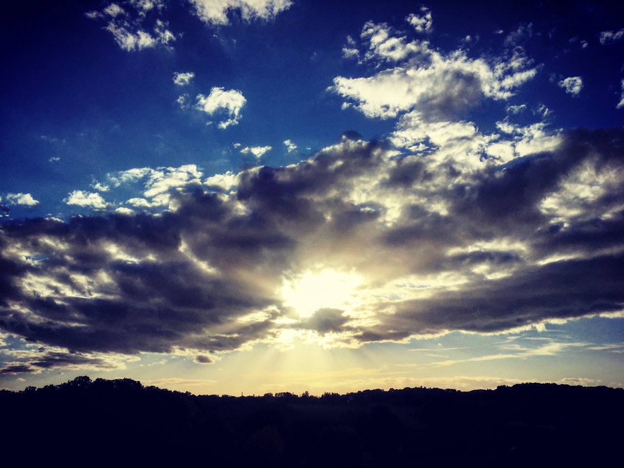 E87D7C60-B1EC-417C-B681-81E18715B9CF.jpeg