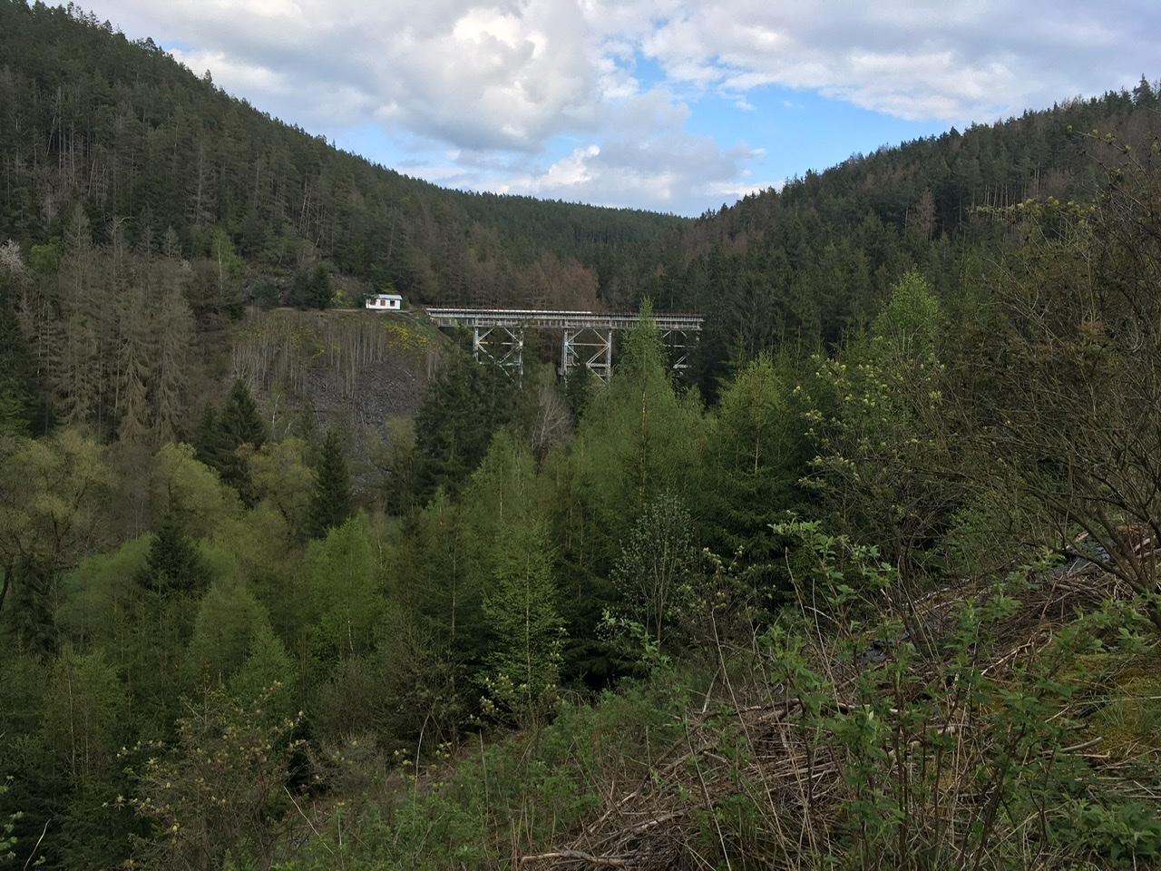 EDA81917-B666-41D9-84C4-7AB0E4C59723.jpeg