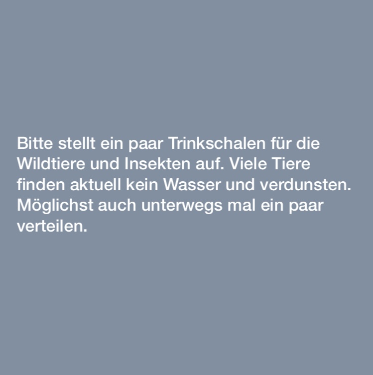 EE737954-793C-4B57-BB4D-DCCBD28F90EF.jpeg