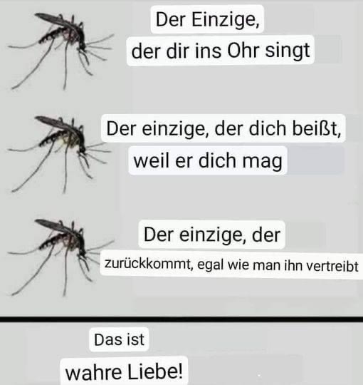 EE7A1031-4C9C-4DBB-ACFE-0B9AD0381A28.jpeg