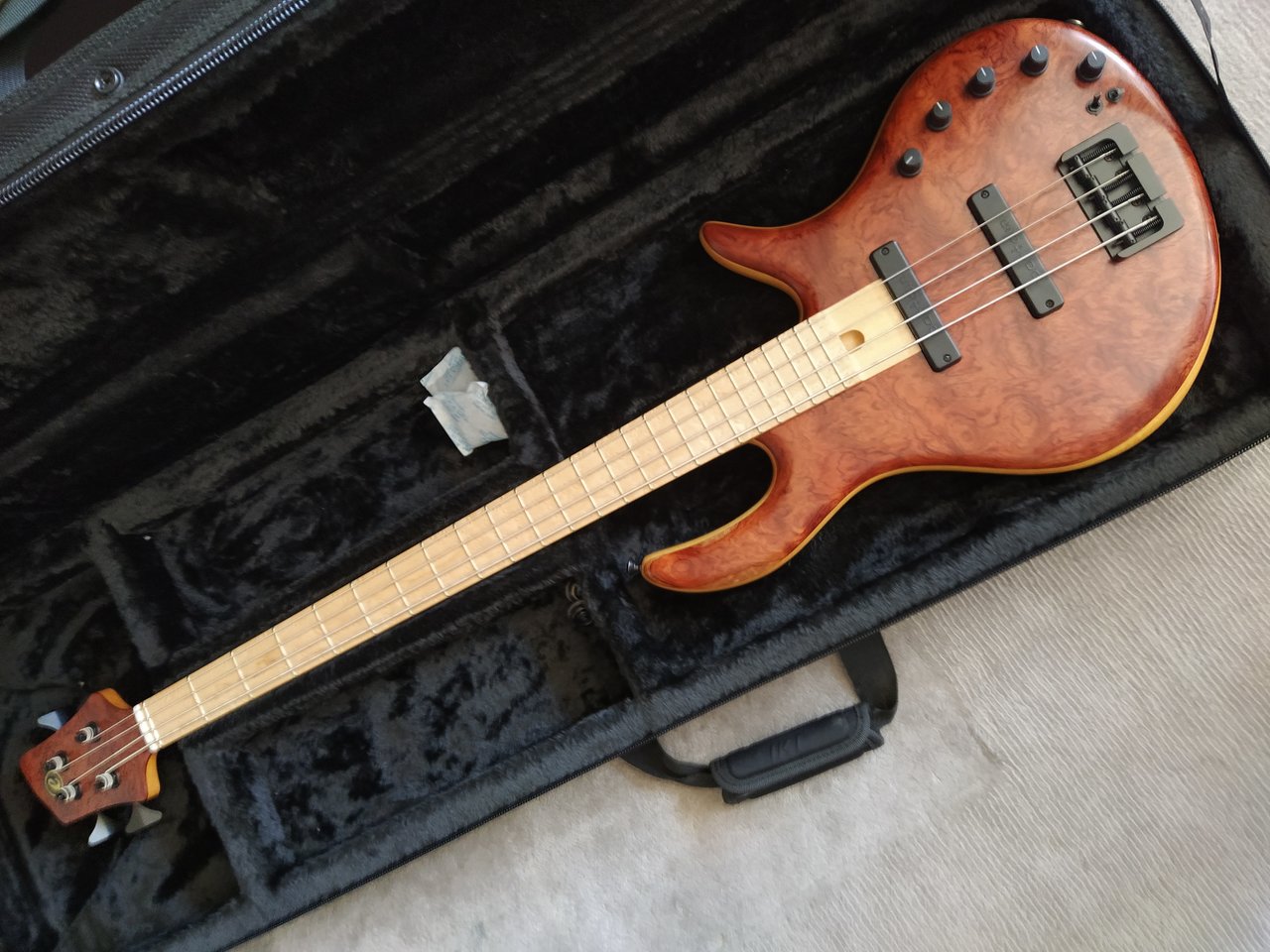 Elrick Evolution Gold 4 (2).jpg