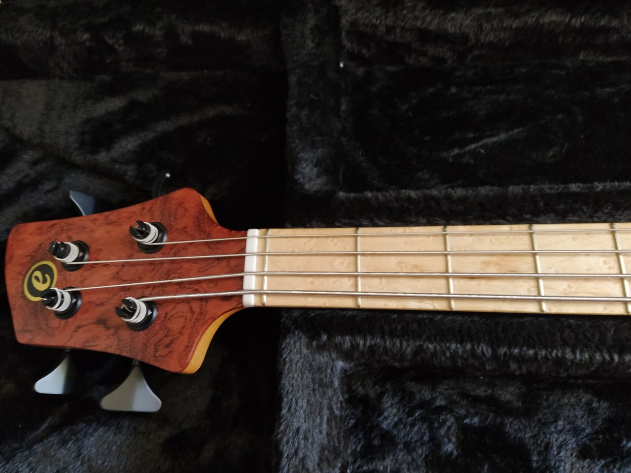 Elrick Evolution Gold 4 (4).jpg