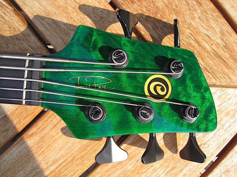 Elrick_Josh_Paul_green_head_klein.jpg