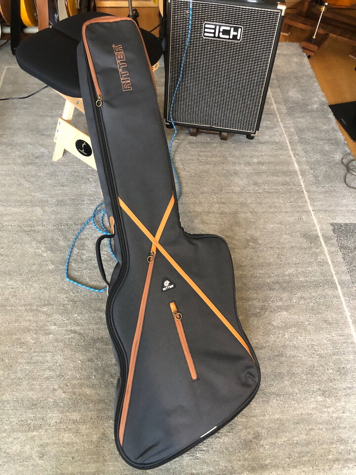 Epiphone thunder - 1.jpeg