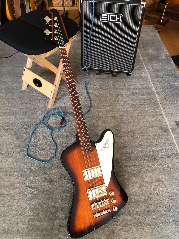 Epiphone thunder - 2.jpeg