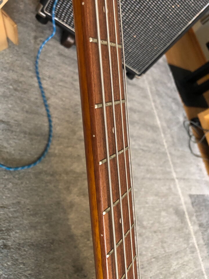 Epiphone thunder - 6.jpeg