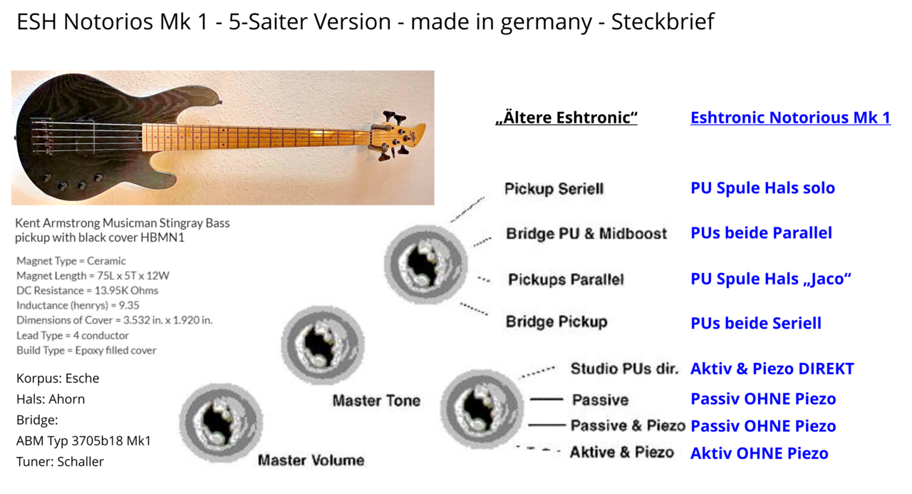 Esh Notorious I 5String Steckbrief.png