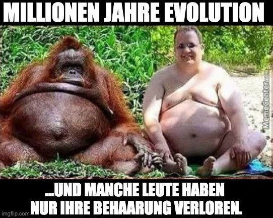 evol2.jpg
