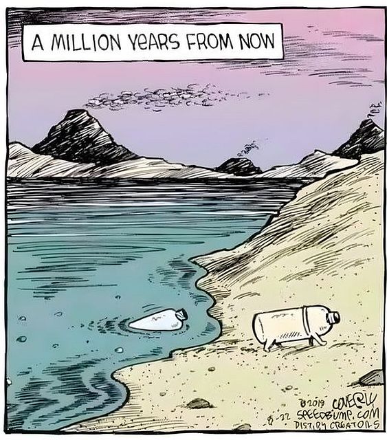 evolution3.jpg